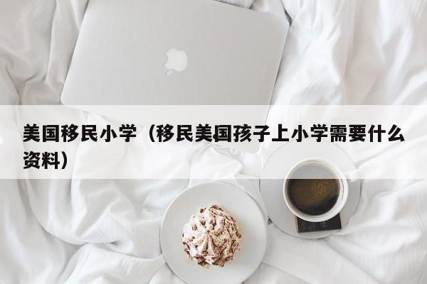 美国移民小学(移民美国孩子上小学需要什么资料)