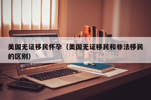 美国无证移民怀孕(美国无证移民和非法移民的区别)