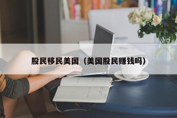 股民移民美国(美国股民赚钱吗)